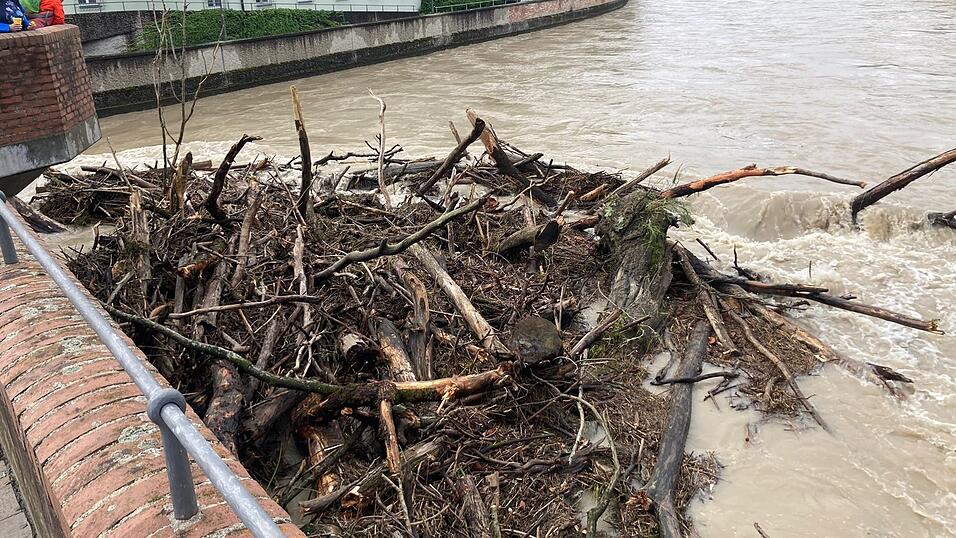 Jede Menge Treibgut wurde an der Heilig-Geist-Br&uuml;cke angeschwemmt.&nbsp;