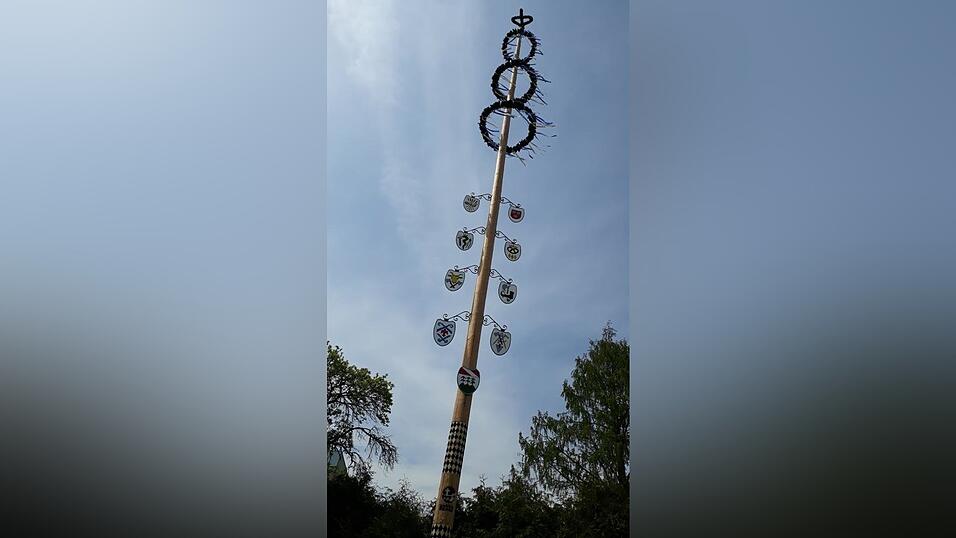 Der Maibaum der KLJB W&ouml;rth an der Donau wird traditionell vor dem Pfarrheim in der Sandm&uuml;llerwiese aufgestellt.