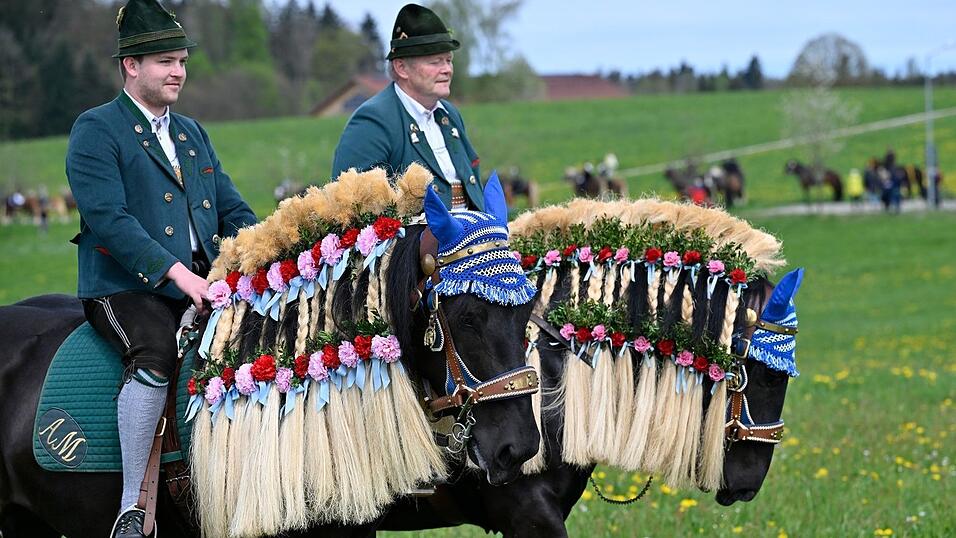 Die Pferde sind beim Georgiritt festlich geschmückt. (Archivbild) Die Pferde sind beim Georgiritt festlich geschmückt. (Archivbild)