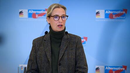 AfD-Co-Vorsitzende Alice Weidel ist nicht zur M&uuml;nchner Sicherheitskonferenz eingeladen worden.