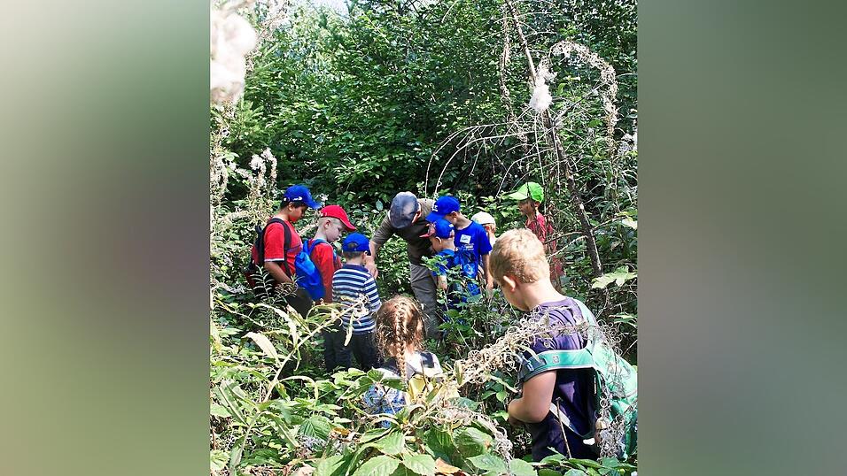 Mit gro&szlig;er Begeisterung ging es durch den 'Dschungel'.
