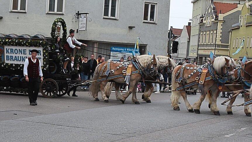 Fahrerisches Geschick und eine gute Beherrschung der sechs Pferde im Gespann waren f&uuml;r den Prachtwagen der Brauerei Arco bei der Ausfahrt aus dem Stadtplatz in die Obere Stadt notwendig.