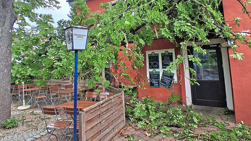 Ein orkanartiger Sturm hat diesen Baum umgerissen. Ein orkanartiger Sturm hat diesen Baum umgerissen.