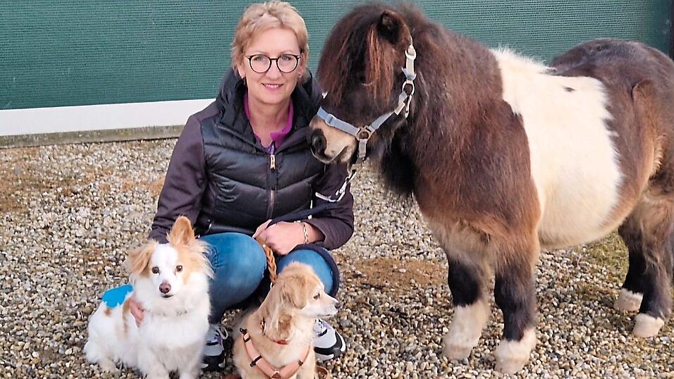 Das Mini-Shetlandpony Fridolin sollte ihrem Pferd Buzzi über den Verlust seines Freundes hinweghelfen. Das Mini-Shetlandpony Fridolin sollte ihrem Pferd Buzzi über den Verlust seines Freundes hinweghelfen.