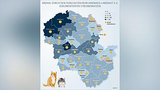 Seit 2018 dokumentiert der Tierschutzverein Landkreis Landshut die Zahl der Katzen, die seine Mitglieder aufsammeln. Obwohl die Zahlen nicht repr&auml;sentativ sind, zeigen sie gut, wo sich Streuner-Hotspots befinden - vor allem im n&ouml;rdlichen Landkreis - und, dass die Zahl der streunenden Katzen von Jahr zu Jahr steigt.