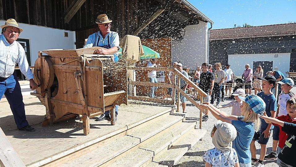 Auch die Windm&uuml;hle kam zum Einsatz beim Brauchtumsdreschfest. Diese reinigte das Getreide von der Streu.