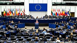 Die EVP ist im Europäischen Parlament die mit Abstand größte Fraktion - bei Abstimmungen braucht sich aber dennoch Partner. (Archivbild) Die EVP ist im Europäischen Parlament die mit Abstand größte Fraktion - bei Abstimmungen braucht sich aber dennoch Partner. (Archivbild)