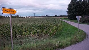 Die Straße zum Wörthhof hinaus ist in die Jahre gekommen und sanierungsbedürftig.