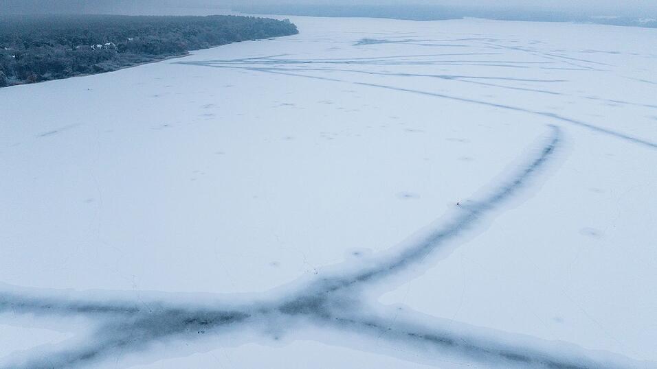 F&uuml;r die Fische wirkt das Eis nach Aussage eines Experten &laquo;beruhigend&raquo;.
