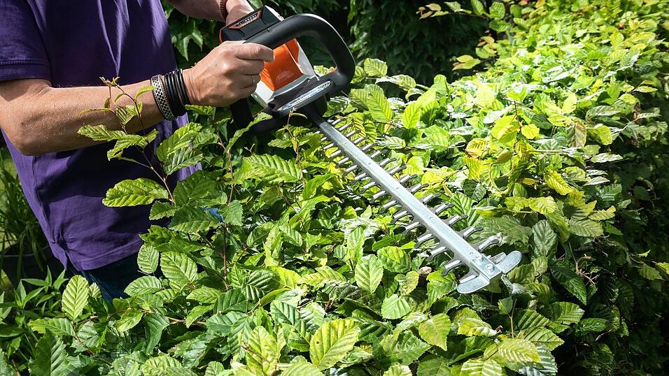 Mit dem Verbot sollen Tiere geschützt werden. (Archivbild) Mit dem Verbot sollen Tiere geschützt werden. (Archivbild)