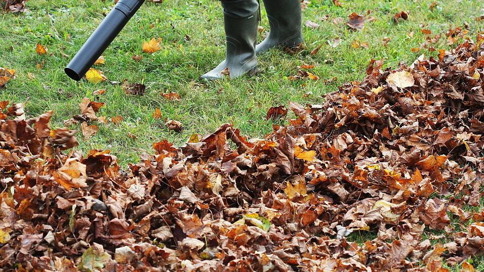 Mit einem Laubbl&auml;ser soll ein Hausmeister gegen ein Auto geschlagen haben. (Symbolbild)