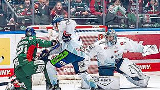 Mit Mann und Maus verteidigten die ersatzgeschw&auml;chten Straubing Tigers (in Wei&szlig;-Blau) um Schlussmann Henrik Haukeland (r.) gegen die Augsburger Panther das eigene Tor.