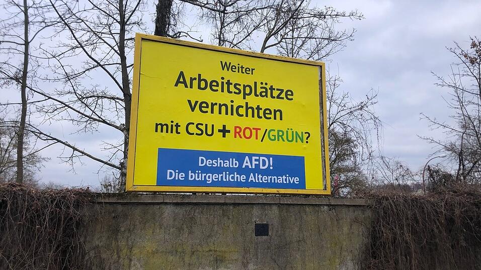 Auff&auml;llige AfD-Wahlwerbung wie hier in Bamberg ist auch in anderen St&auml;dten in Deutschland zu sehen. Es handelt sich nicht um offizielle AfD-Wahlplakate, sondern um eine Aktion des Spenders Gerd Dingler aus &Ouml;sterreich. (Archivbild)