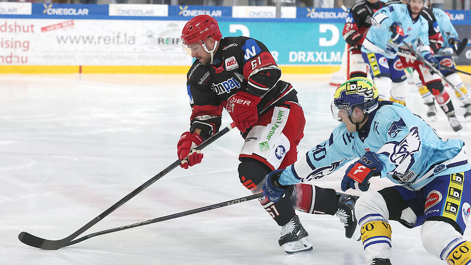 Volle Kraft voraus: David Elsner ist von den Blue Devils Weiden zu seinem Heimatverein EV Landshut zurückgekehrt und hat mit seinen Teamkollegen in der neuen Saison allerhand vor. Volle Kraft voraus: David Elsner ist von den Blue Devils Weiden zu seinem Heimatverein EV Landshut zurückgekehrt und hat mit seinen Teamkollegen in der neuen Saison allerhand vor.