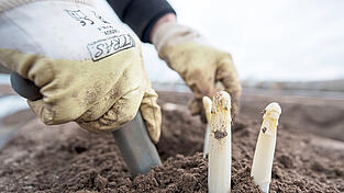 Durch Fiebertests im Fahrzeug und die Einrichtung besonderer Fahrspuren an den Grenzen k&ouml;nnte eine sichere Einreise der Saisonarbeiter sichergestellt werden, erkl&auml;ren Unionspolitiker in einem Brandbrief.