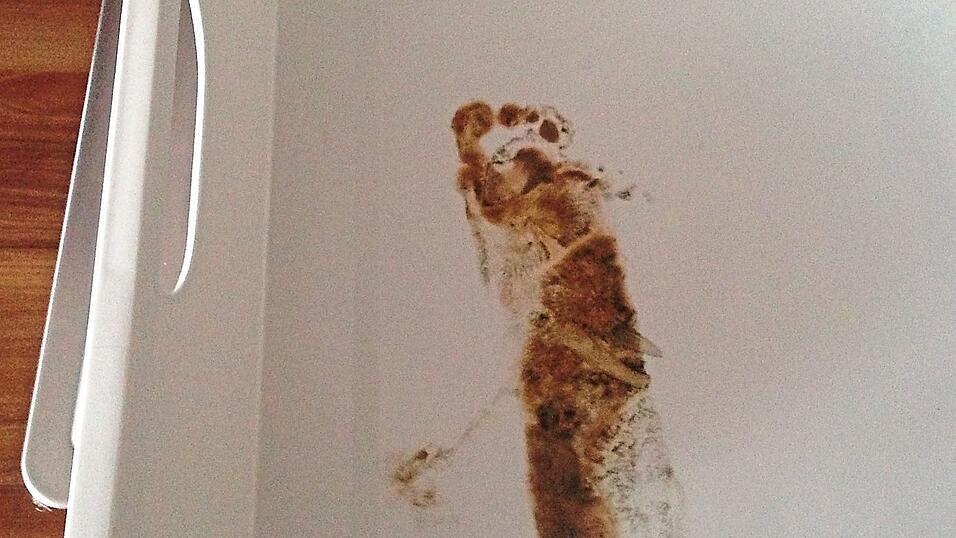 Der r&auml;tselhafte Fu&szlig;abdruck im Gefrierschrank, den die Schwester aus dem Ursulinenkloster mitnahm.