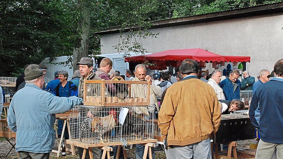 In der Halle im Hintergrund fanden die ersten Sünchinger Taubenmärkte statt. In der Halle im Hintergrund fanden die ersten Sünchinger Taubenmärkte statt.