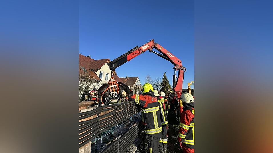 Die Feuerwehren aus Mauern und Moosburg retteten in Mauern ein Pferd aus einem Pool Die Feuerwehren aus Mauern und Moosburg retteten in Mauern ein Pferd aus einem Pool