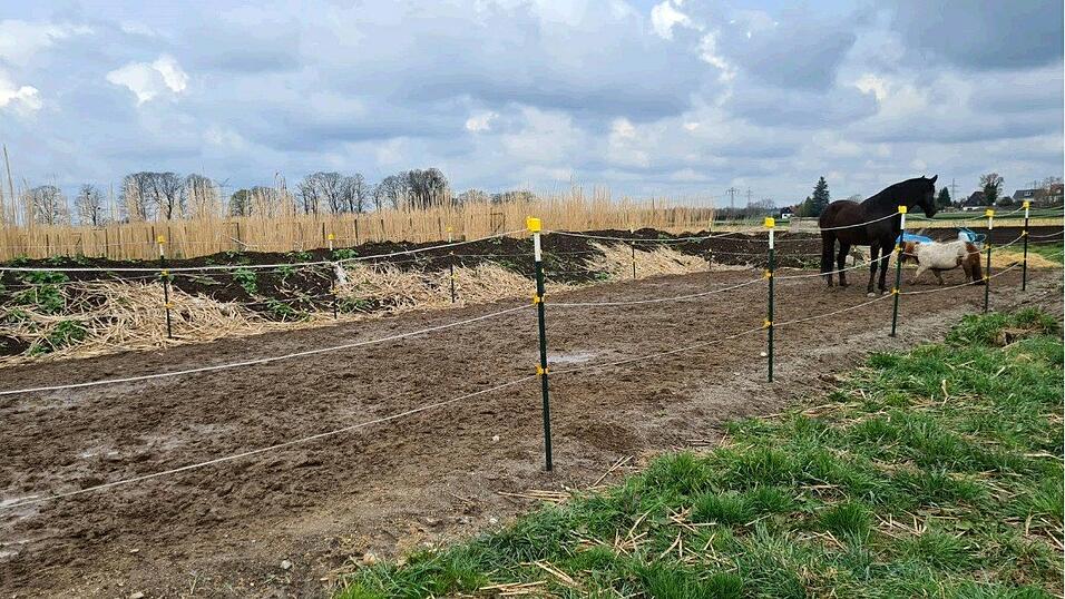 Durch diese Pferdekoppel im Münchner Stadtteil Allach rannten am Dienstag drei Hunde. 2 Minishetland-Ponys und ein Pferd büxten daraufhin aus der Koppel aus. Das Bild zeigt die beiden Tiere, die nach ihrer Flucht wieder erfolgreich eingefangen werden konnten. Durch diese Pferdekoppel im Münchner Stadtteil Allach rannten am Dienstag drei Hunde. 2 Minishetland-Ponys und ein Pferd büxten daraufhin aus der Koppel aus. Das Bild zeigt die beiden Tiere, die nach ihrer Flucht wieder erfolgreich eingefangen werden konnten.