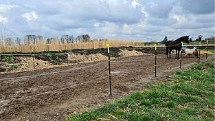 Durch diese Pferdekoppel im Münchner Stadtteil Allach rannten am Dienstag drei Hunde. 2 Minishetland-Ponys und ein Pferd büxten daraufhin aus der Koppel aus. Das Bild zeigt die beiden Tiere, die nach ihrer Flucht wieder erfolgreich eingefangen werden konnten. Durch diese Pferdekoppel im Münchner Stadtteil Allach rannten am Dienstag drei Hunde. 2 Minishetland-Ponys und ein Pferd büxten daraufhin aus der Koppel aus. Das Bild zeigt die beiden Tiere, die nach ihrer Flucht wieder erfolgreich eingefangen werden konnten.