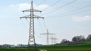 Über unterschiedliche Masttypen verläuft die Freileitung zwischen Altheim und Altdorf aktuell. Diese sollen durch einheitliche Masten ersetzt werden, die mehr Leiterseile tragen können. Über unterschiedliche Masttypen verläuft die Freileitung zwischen Altheim und Altdorf aktuell. Diese sollen durch einheitliche Masten ersetzt werden, die mehr Leiterseile tragen können.