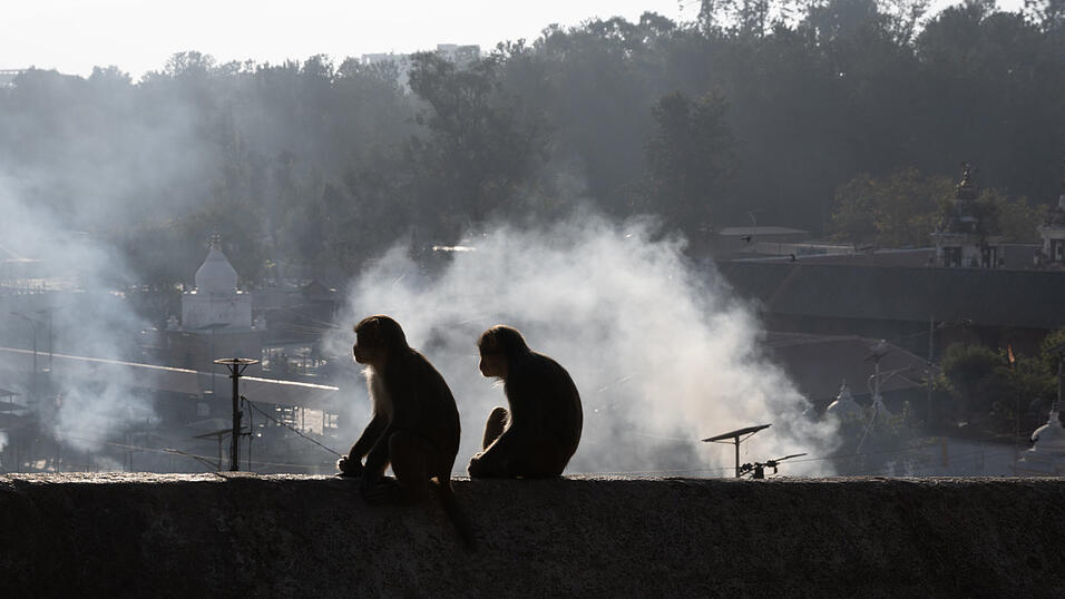 Katis Eindrücke aus Nepal.