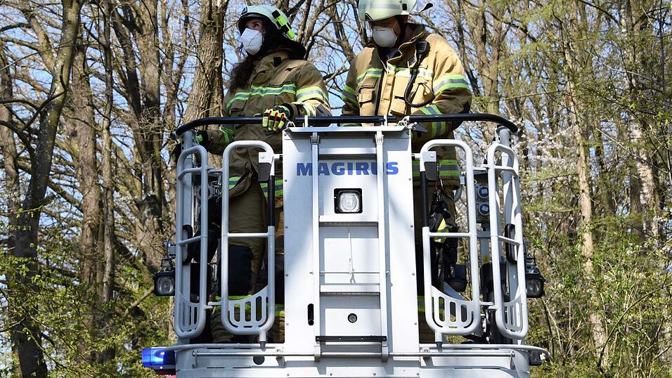 Um die Katze aus ihrer schwierigen Lage zu befreien, begaben sich zwei Feuerwehrleute im Korb an der Drehleiter in luftige Höhen. Um die Katze aus ihrer schwierigen Lage zu befreien, begaben sich zwei Feuerwehrleute im Korb an der Drehleiter in luftige Höhen.