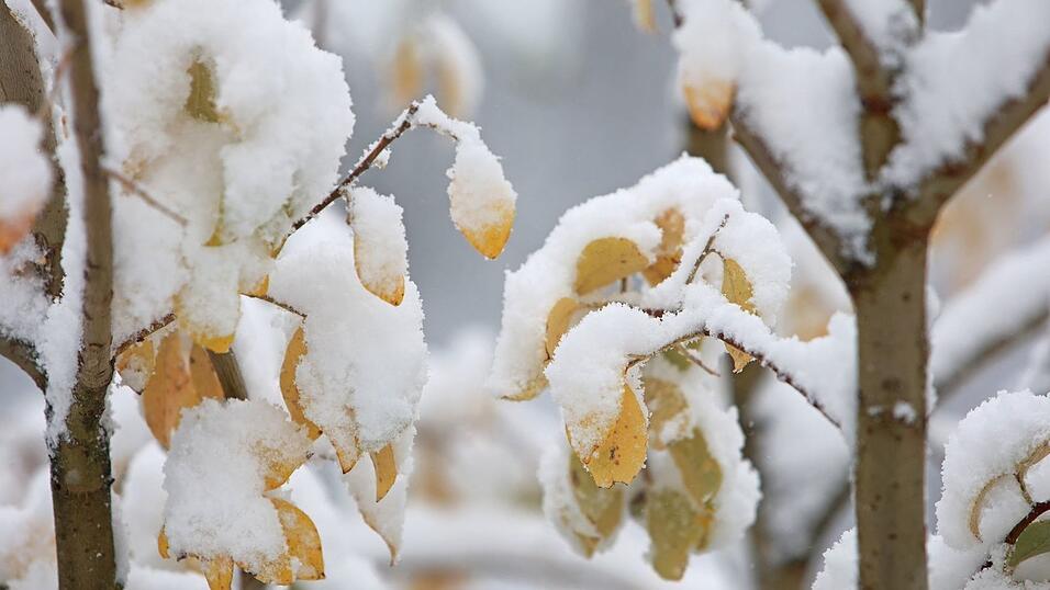 In den ersten Regionen klopft zum Beginn der Woche der Winter mit Schneefällen an (Archivbild). In den ersten Regionen klopft zum Beginn der Woche der Winter mit Schneefällen an (Archivbild).