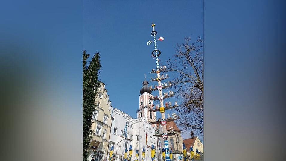 In Cham ist der Maibaum auf dem Marktplatz aufgestellt worden.