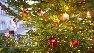 Die Christbaumversteigerung fand im Altlandkreis Viechtach statt.