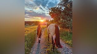 Wo werden sie die Nacht verbringen? Tanja und Joy reiten nicht, sondern wandern in den Sonnenuntergang.