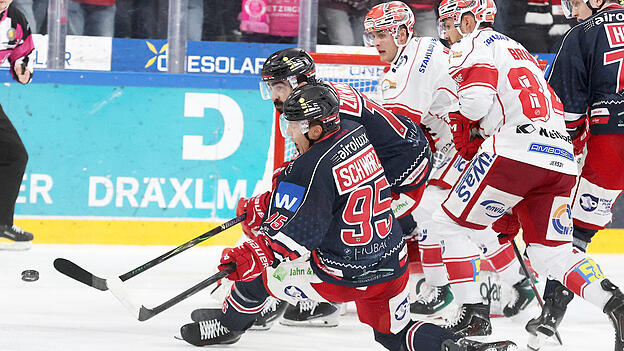 Der EV Landshut um Ladislav Zikmund (blaues Trikot, hinten) und Tobi Schwarz (vorne) war gegen Crimmitschau völlig unterlegen. Der EV Landshut um Ladislav Zikmund (blaues Trikot, hinten) und Tobi Schwarz (vorne) war gegen Crimmitschau völlig unterlegen.