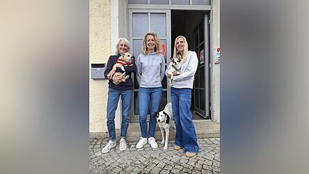 Natalie Dietzsch-Albrecht (links) mit Joschi, Stephanie Albrecht (Mitte) und Mila sowie Manuela Gru&szlig;ie mit Birdy wollen die Tier-Mensch-Beziehung von Senioren und &auml;lteren Hunden sowie Katzen verbessern.