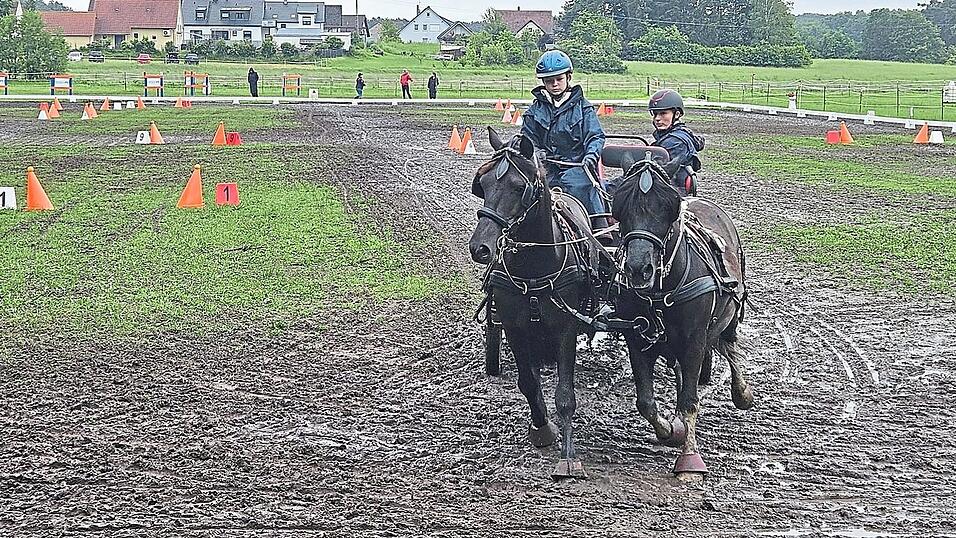 Larissa und ihre Beifahrerin beim Jugendturnier in Rörach. Trotz des widrigen Wetters wurde sie Dritte beim 'Kegeln' und erste in der Dressur. Larissa und ihre Beifahrerin beim Jugendturnier in Rörach. Trotz des widrigen Wetters wurde sie Dritte beim 'Kegeln' und erste in der Dressur.
