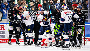Wie gewohnt umkämpft war das Derby der Straubing Tigers mit dem EHC Red Bull München, an dessen Ende sich die Niederbayern trotz aller Bemühungen geschlagen geben mussten. Wie gewohnt umkämpft war das Derby der Straubing Tigers mit dem EHC Red Bull München, an dessen Ende sich die Niederbayern trotz aller Bemühungen geschlagen geben mussten.