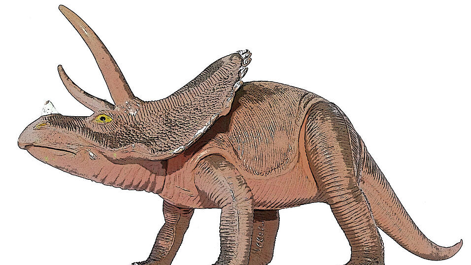 Der Triceratops z&auml;hlt zu den bekanntesten Dinosauriern der sp&auml;ten Kreidezeit. (Symbolfoto)