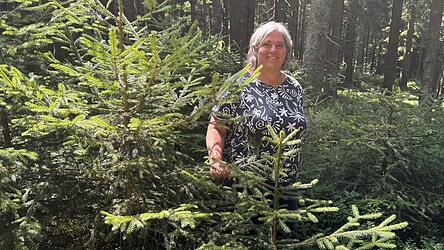 Martina Fischl in ihrem Wald: Die Nadelb&auml;ume haben sich selbst anges&auml;t, erst wenn sie gr&ouml;&szlig;er sind, wird der Bestand durchforstet, damit die st&auml;rkeren Pflanzen mehr Licht bekommen.