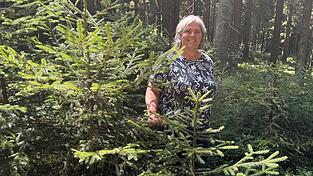 Martina Fischl in ihrem Wald: Die Nadelb&auml;ume haben sich selbst anges&auml;t, erst wenn sie gr&ouml;&szlig;er sind, wird der Bestand durchforstet, damit die st&auml;rkeren Pflanzen mehr Licht bekommen.