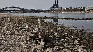 Das Niedrigwasser am Rhein bremste die deutsche Wirtschaft - dennoch legte sie im Sommer zu. (Archivbild) Das Niedrigwasser am Rhein bremste die deutsche Wirtschaft - dennoch legte sie im Sommer zu. (Archivbild)