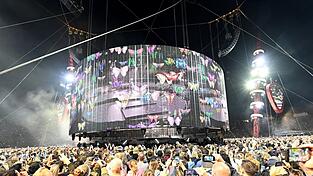 Und wenn man genau hinschaut, erkennt man unter den Schmetterlingen den R&uuml;cken von Ed Sheeran.