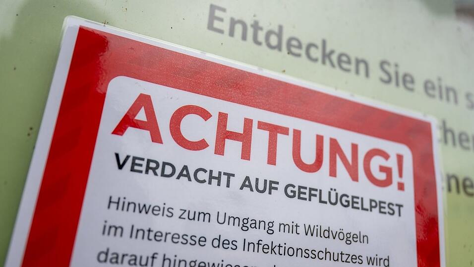 Für Menschen besteht keine besondere Gefahr. (Symbolfoto)