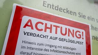Für Menschen besteht keine besondere Gefahr. (Symbolfoto)