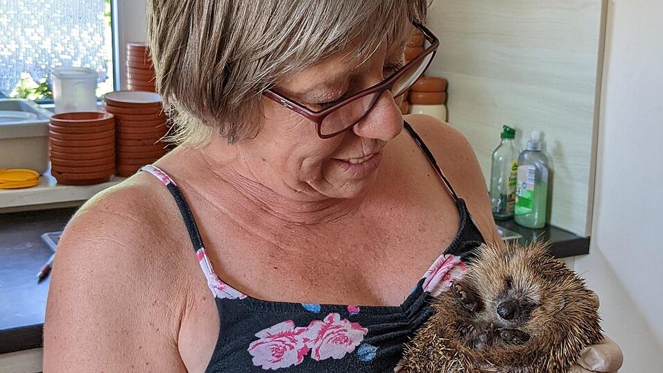 Betrachtet die Welt von oben: 'Die Prinarin' in den Armen von Monika Lüdtke Betrachtet die Welt von oben: 'Die Prinarin' in den Armen von Monika Lüdtke