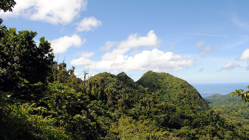 Ankunft in der Karibik, Dezember 2009/Januar 2010 Ankunft in der Karibik, Dezember 2009/Januar 2010