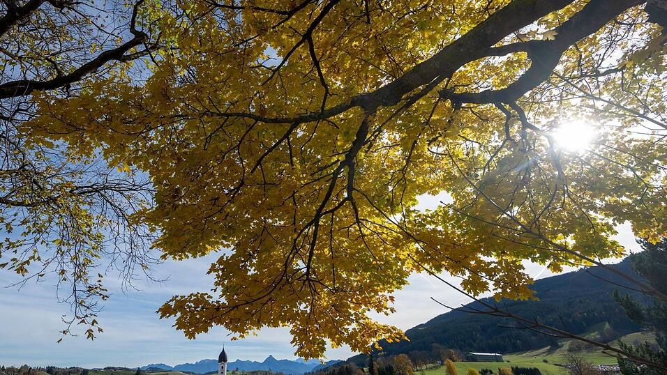 Auf mildes Herbstwetter am Samstag folgte am Sonntag vielerorts reichlich Regen. Auf mildes Herbstwetter am Samstag folgte am Sonntag vielerorts reichlich Regen.