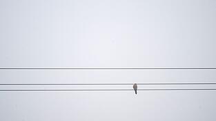 In Bayern gibt es derzeit viele Wolken und nur wenig Sonnenschein. (Symbolbild)