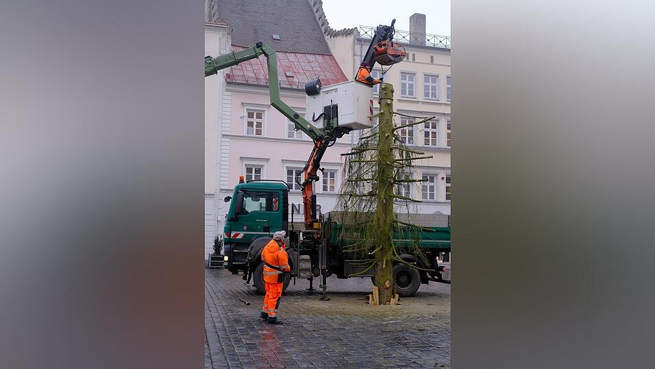 'Der letzte Rest', ein stolzer Stamm von sieben Metern, wurde aus der Verankerung gehoben. 'Der letzte Rest', ein stolzer Stamm von sieben Metern, wurde aus der Verankerung gehoben.
