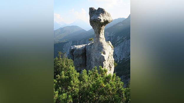 Der rund zehn Meter hohe Dolomit-Felsturm der Steinernen Agnes z&auml;hlt zu Bayerns sch&ouml;nsten Geotopen und ist zugleich ein Nationales Geotop.