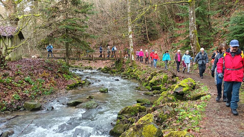 Jeden Monat bietet der Alpenverein Sektion Straubing eine Wanderung - wie beispielsweise hier durch das Mitterfelser Perlbachtal - an.