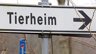 Der 43-J&auml;hrige gab an, das Tier in einem Ort in der Region gefunden zu haben. (Symbolbild)